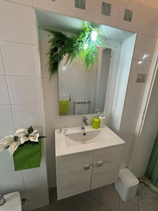 Rebirth Apartamento